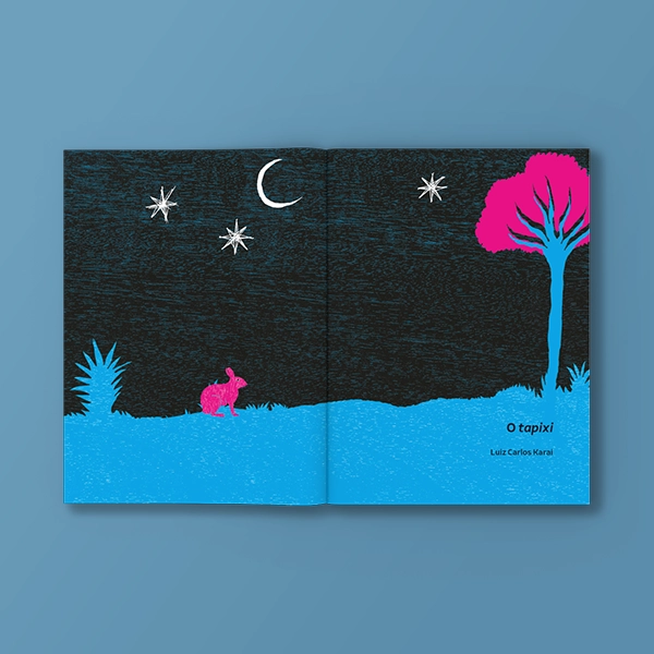 pnld-2026-literario-equidade-objeto-1-obra-literaria-capa-as-queixadas-e-outros-contos-guaranis-galeria-3