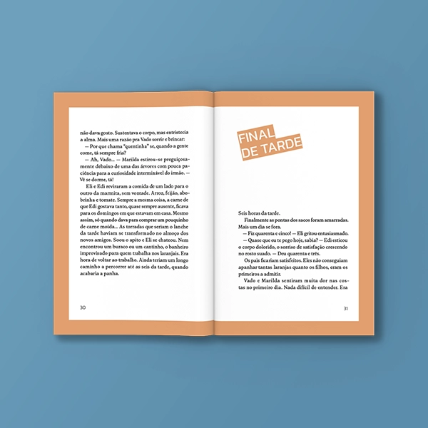 pnld-2026-literario-equidade-objeto-1-obra-literaria-capa-infancia-roubada-galeria-2